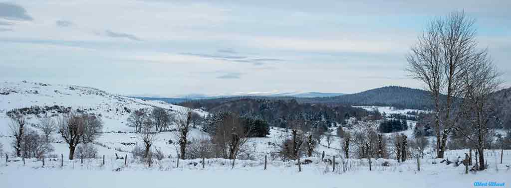 Mont Lozère à l'horizon