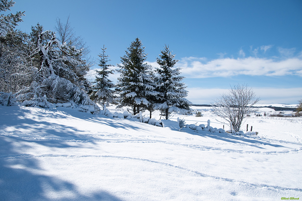 L'hiver est encore là sur l'Aubrac !