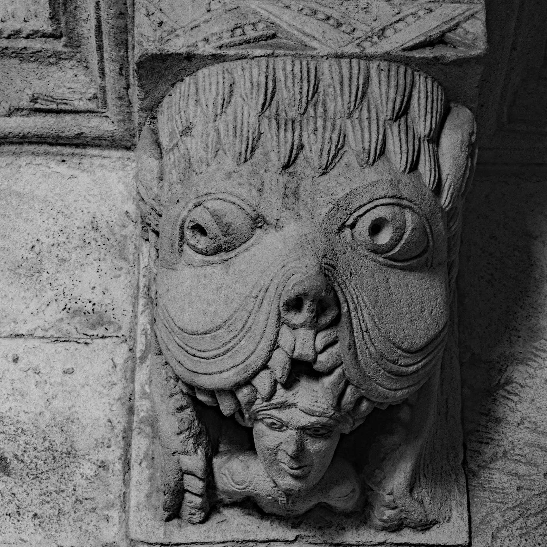 Abbaye de Montmajour (13)