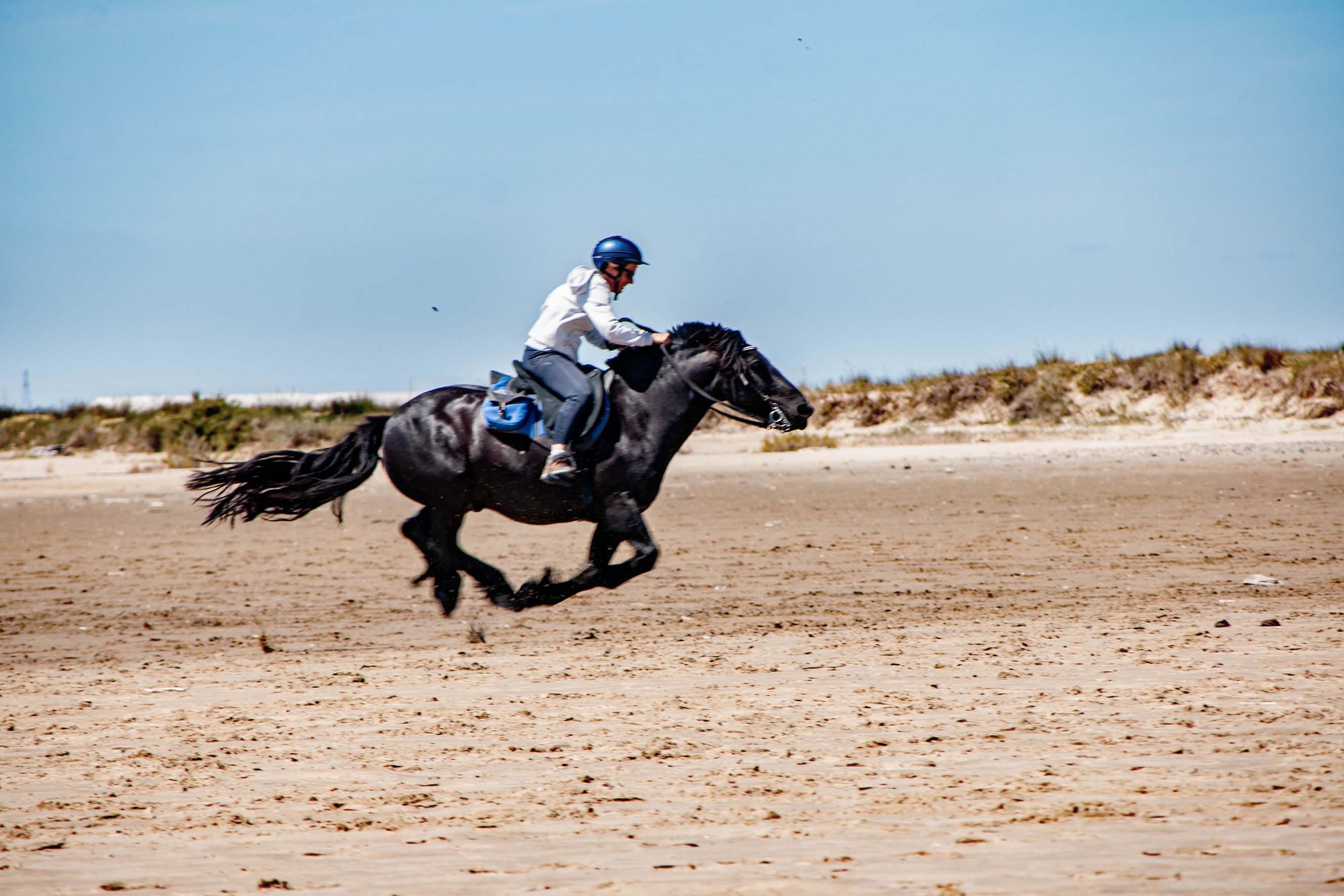 Grand galop