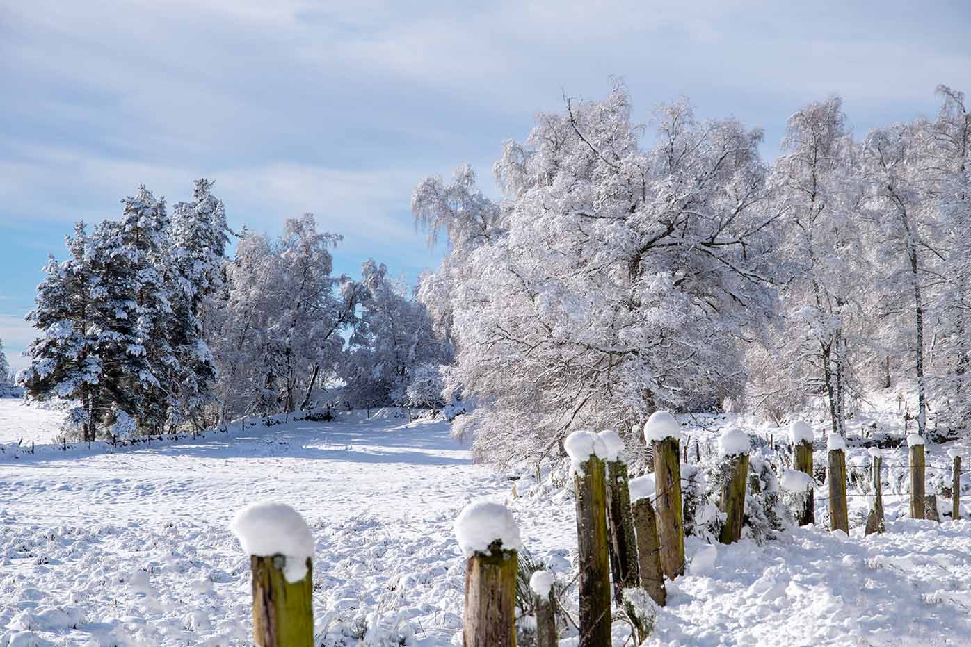 Paysage blanc