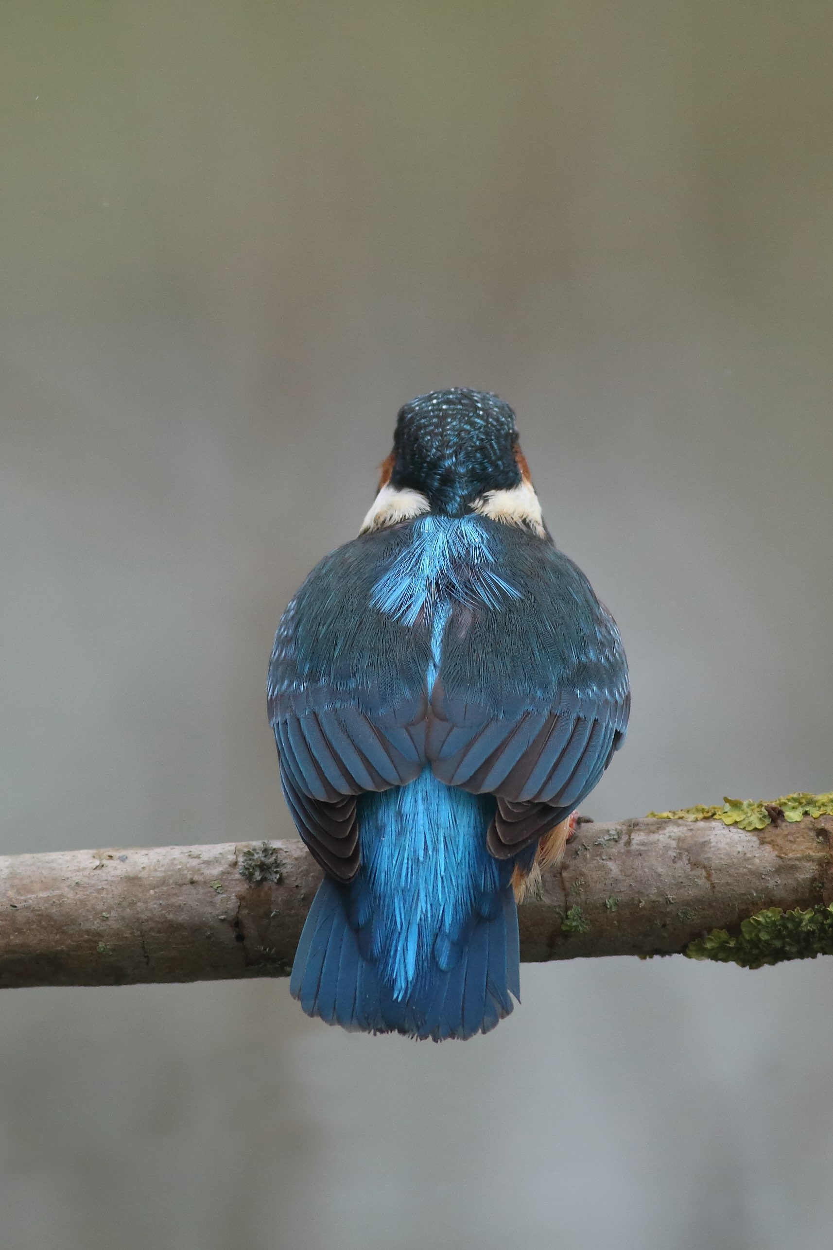 Tu me tournes le dos