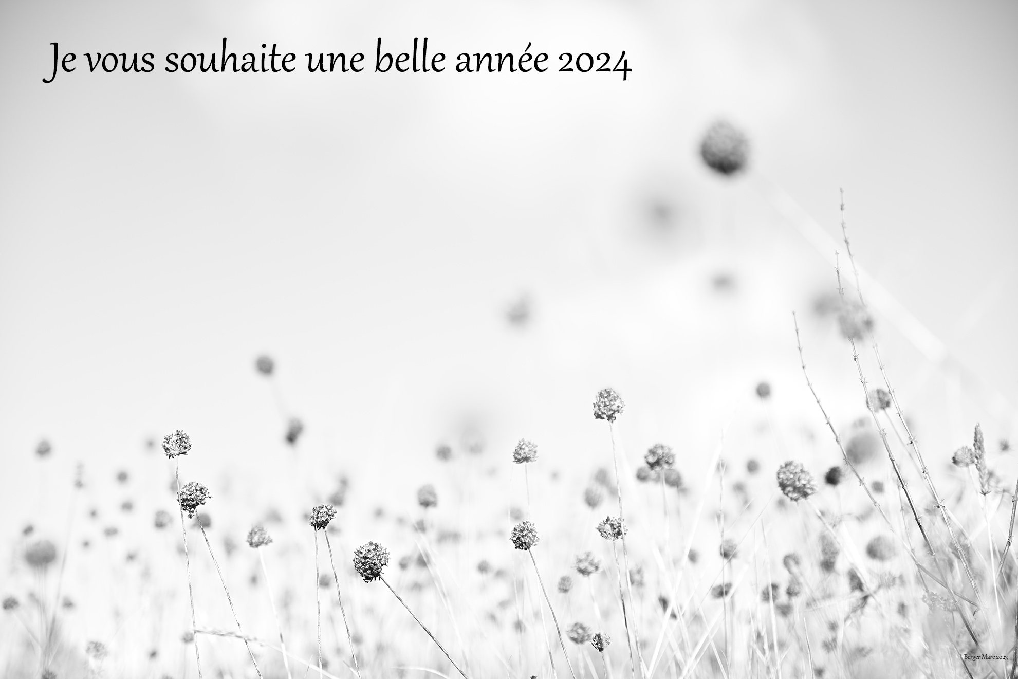 Bonne année 2024