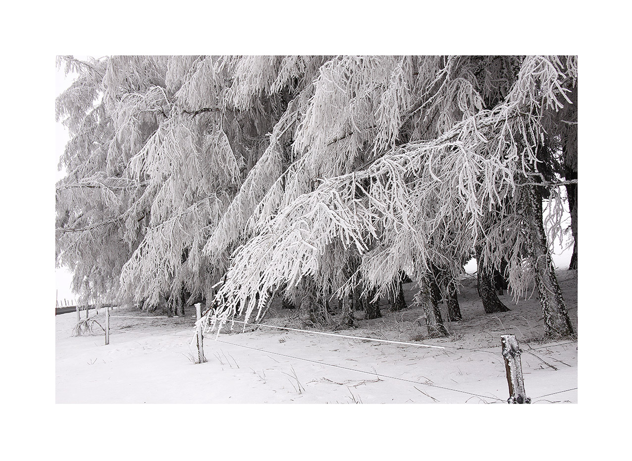 l'hiver n'est pas fini