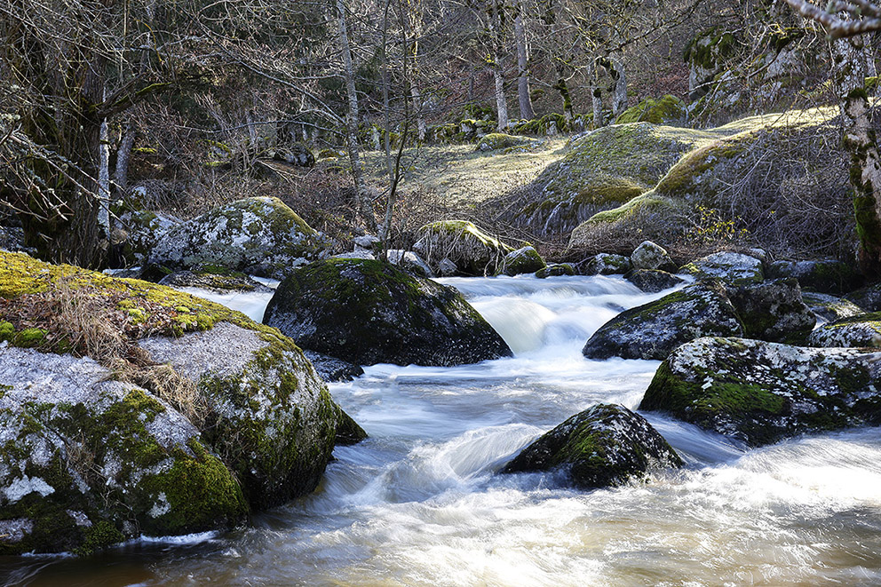 au fil de la Tartaronne