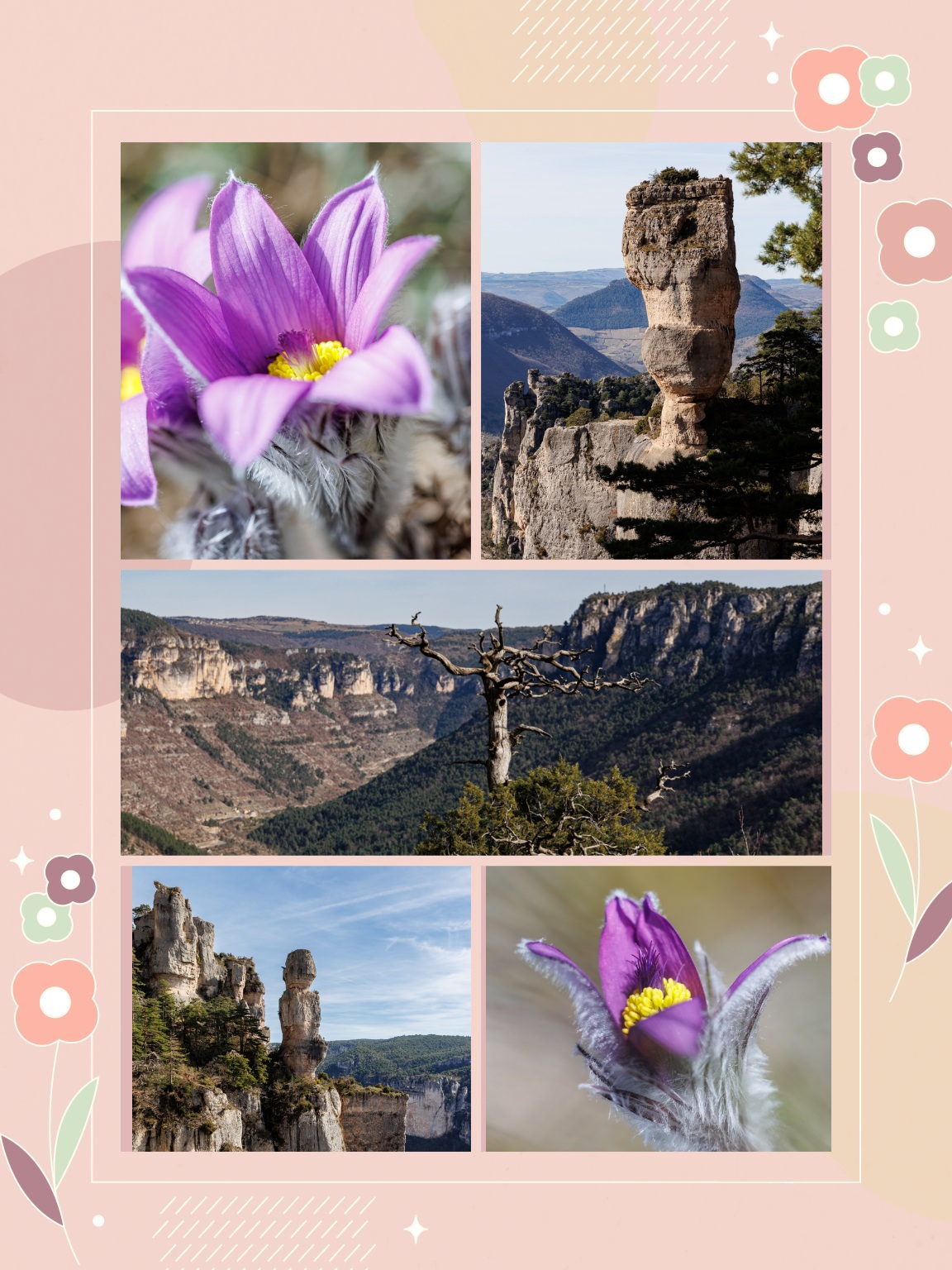 Un petit air de printemps