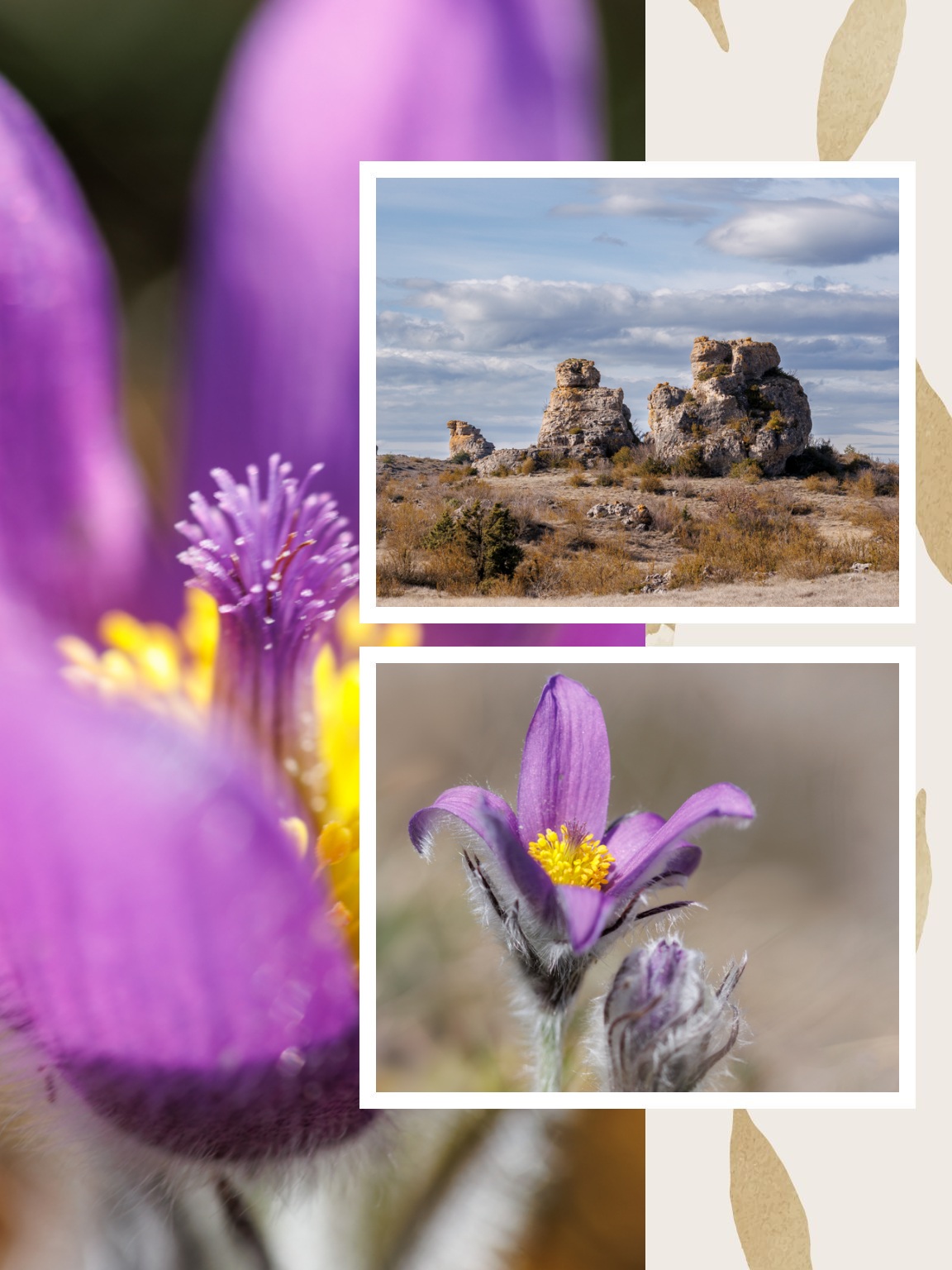 Ambiance printanière