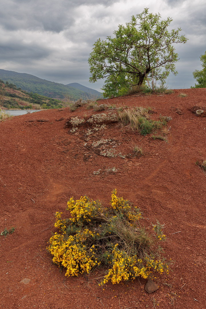 Lac du salagou (bis)