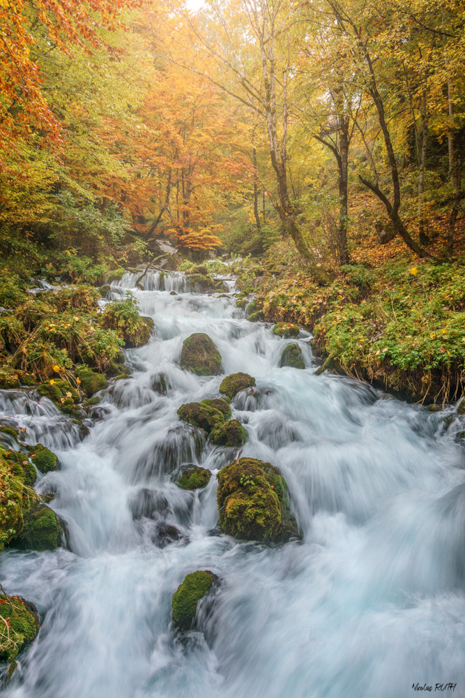 Torrentueux automne