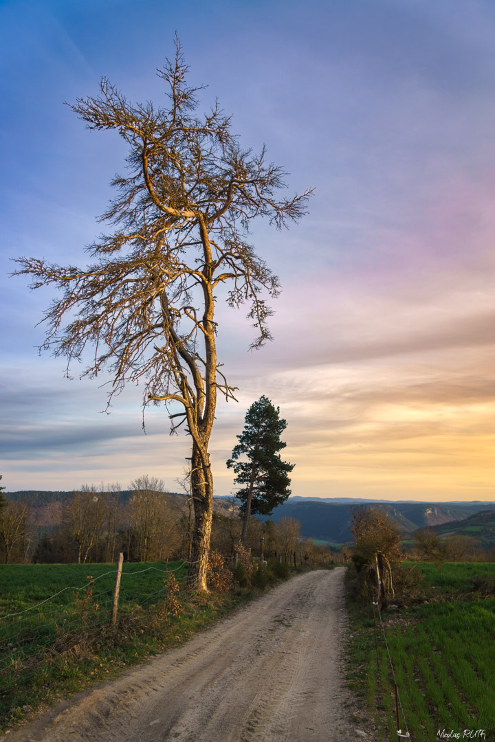 En chemin