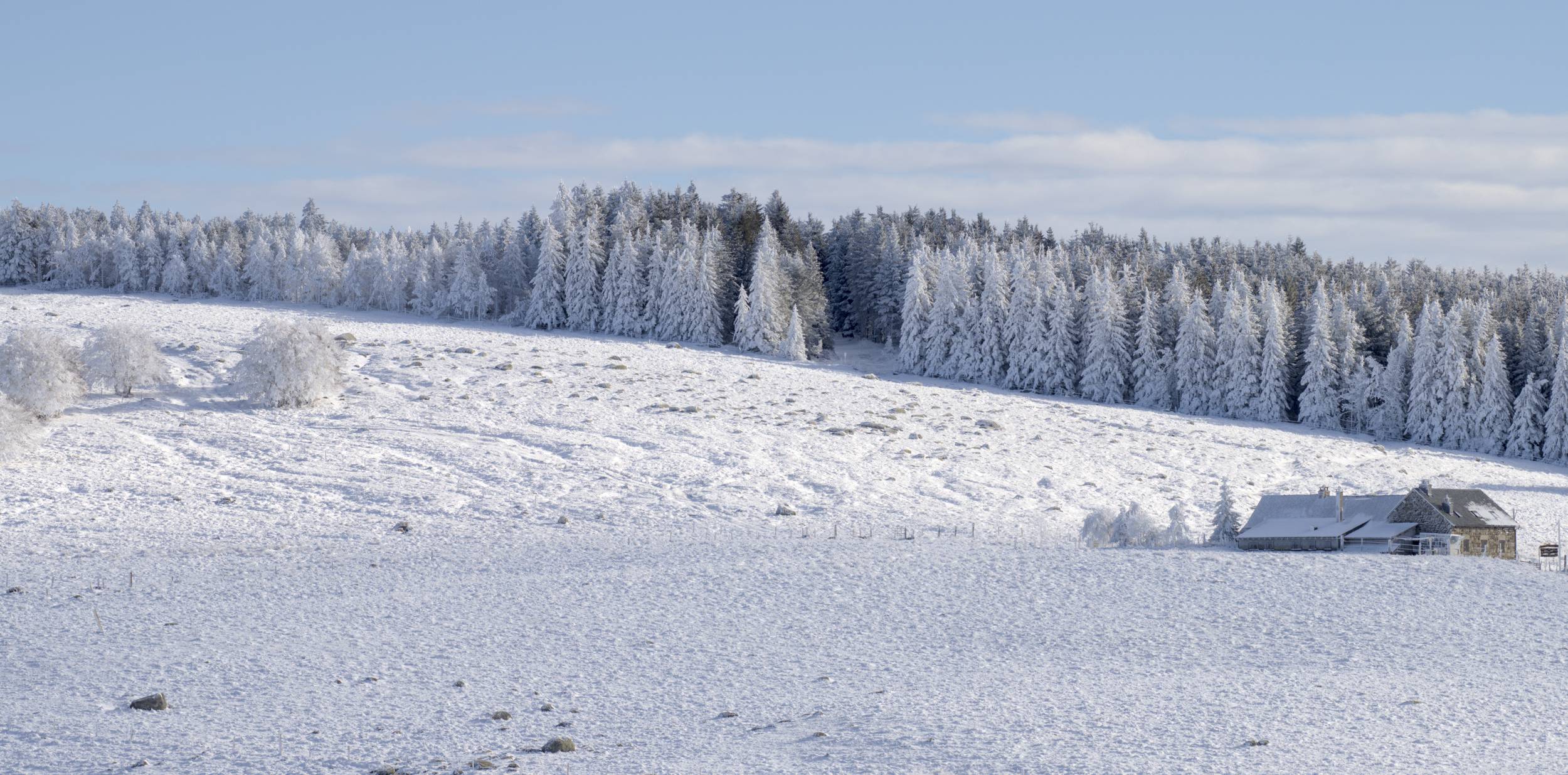 Histoire de givre sur l'Aubrac